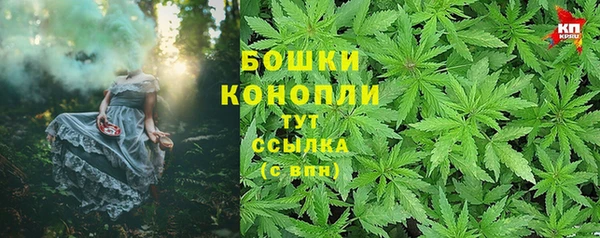 дурь Бронницы