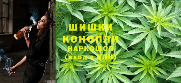эйфоретик Бородино