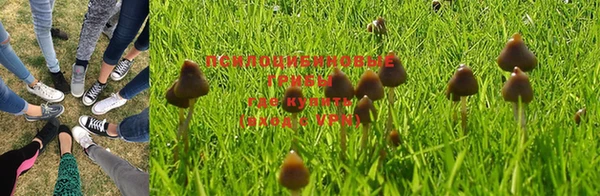 дурь Бронницы