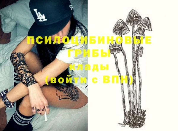 дмт Богданович