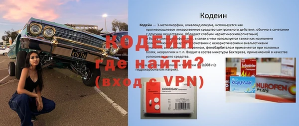 дмт Богданович