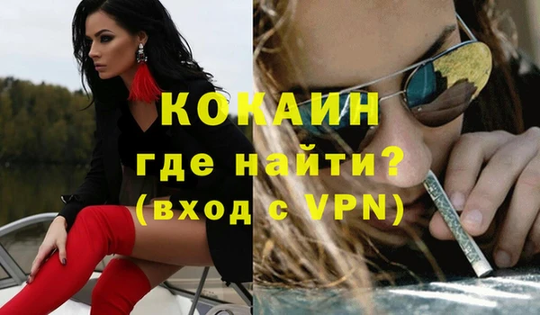дмт Богданович