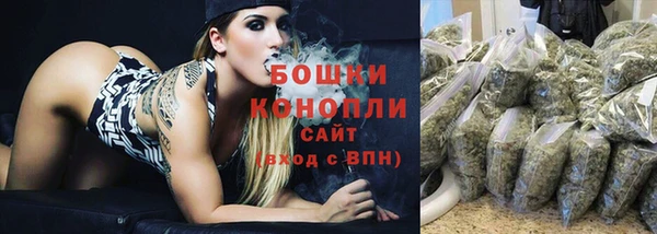 эйфоретик Бородино