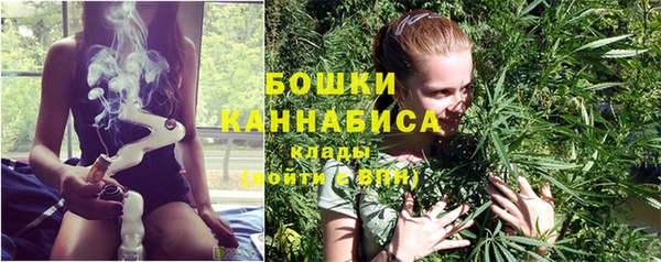 дмт Богданович